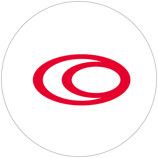 zlks Logo